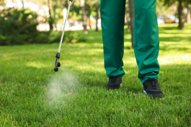 Pest Prevention Services in Manor, TX