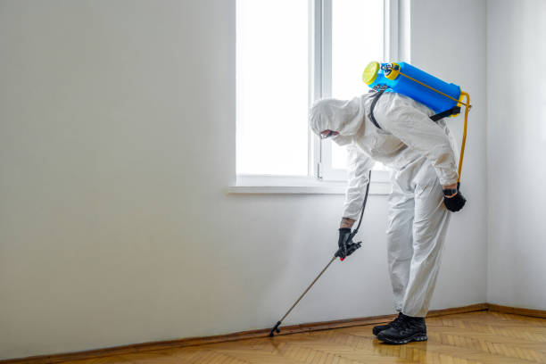 Flea Control Services in Manor, TX