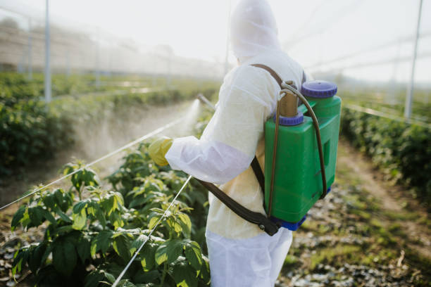 Best Residential Pest Control  in Manor, TX